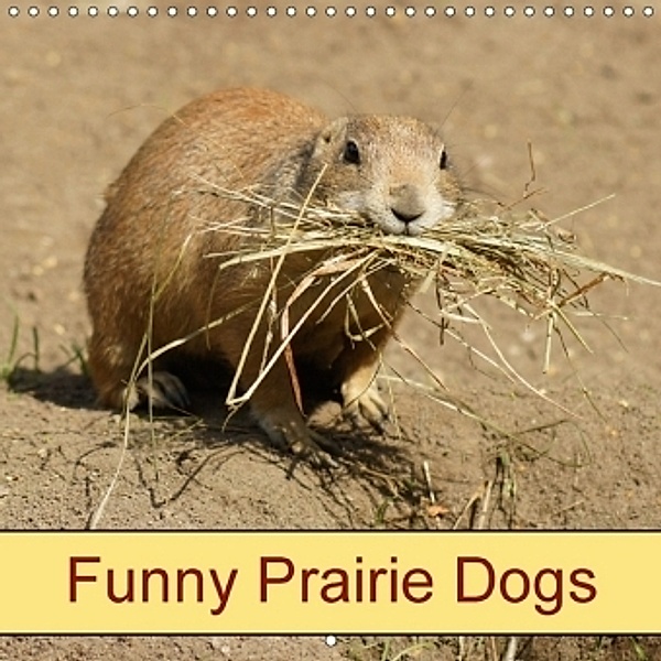 Funny Prairie Dogs (Wall Calendar 2017 300 × 300 mm Square), kattobello
