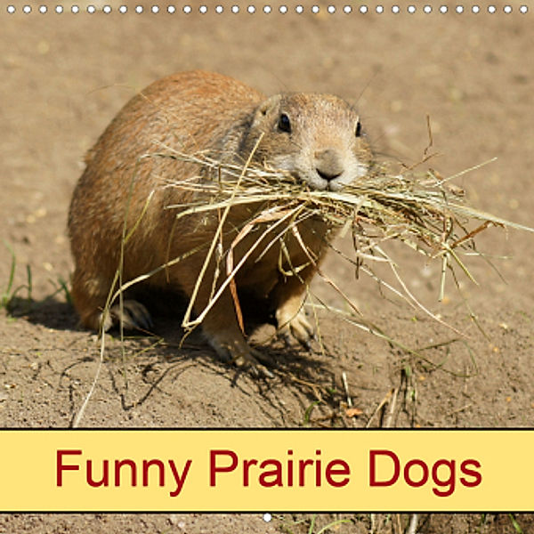 Funny Prairie Dogs (Wall Calendar 2021 300 × 300 mm Square)