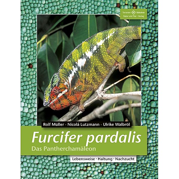 Furcifer pardalis / Terrarien-Bibliothek, Rolf Müller, Nicolá Lutzmann, Ulrike Walbröl