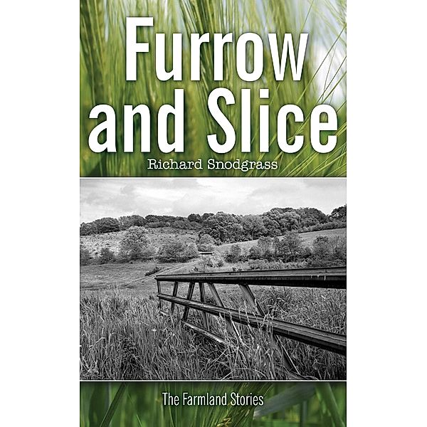 Furrow and Slice (Books of Furnass, #8) / Books of Furnass, Richard Snodgrass