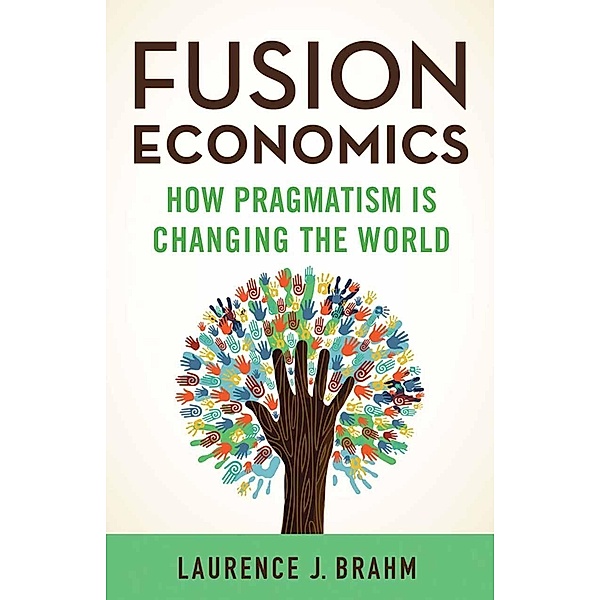 Fusion Economics, L. Brahm