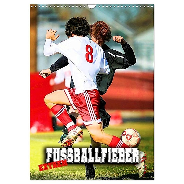 Fußballfieber extrem (Wandkalender 2024 DIN A3 hoch), CALVENDO Monatskalender, Renate Utz