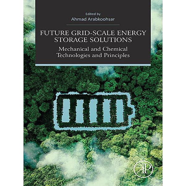 Future Grid-Scale Energy Storage Solutions
