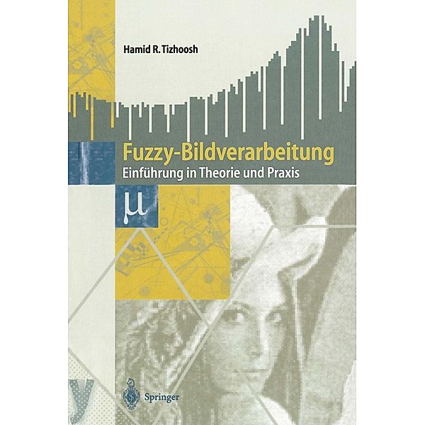 Fuzzy-Bildverarbeitung, Hamid R. Tizhoosh