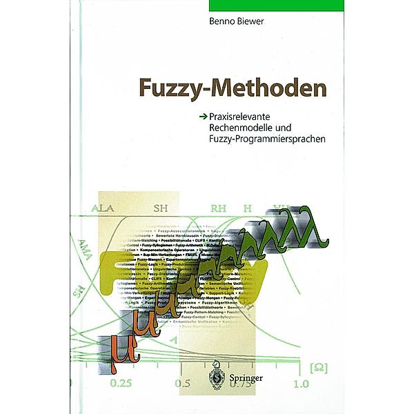 Fuzzy-Methoden, Benno Biewer