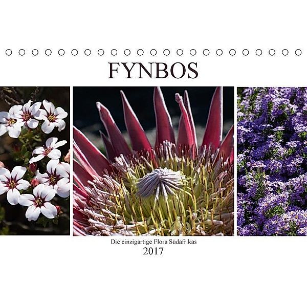 Fynbos - Die einzigartige Flora Südafrikas (Tischkalender 2017 DIN A5 quer), Silvia Schröder