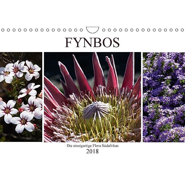 Fynbos - Die einzigartige Flora Südafrikas (Wandkalender 2018 DIN A4 quer) Dieser erfolgreiche Kalender wurde dieses Jah, Silvia Schröder