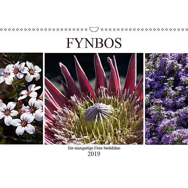 Fynbos - Die einzigartige Flora Südafrikas (Wandkalender 2019 DIN A3 quer), Silvia Schröder