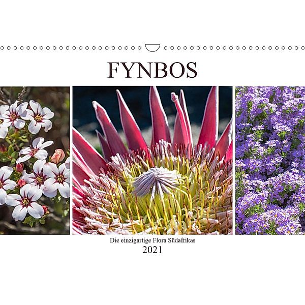 Fynbos - Die einzigartige Flora Südafrikas (Wandkalender 2021 DIN A3 quer), Silvia Schröder