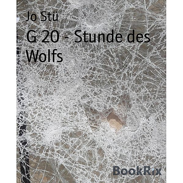 G 20 - Stunde des Wolfs, Jo Stü