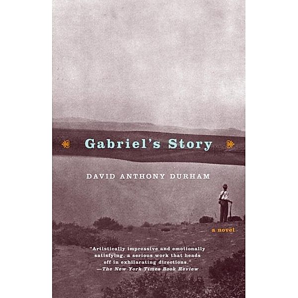 Gabriel's Story, David Anthony Durham