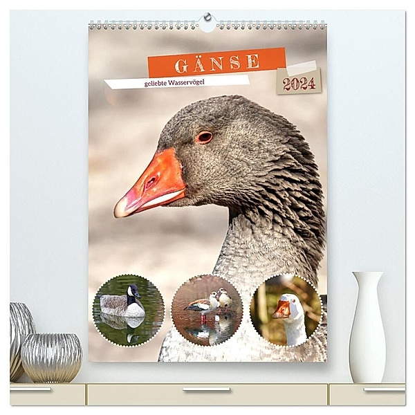 Gänse, geliebte Wasservögel (hochwertiger Premium Wandkalender 2024 DIN A2 hoch), Kunstdruck in Hochglanz, Sabine Löwer