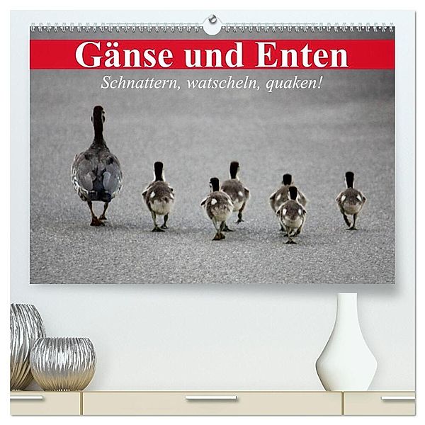 Gänse und Enten. Schnattern, watscheln, quaken! (hochwertiger Premium Wandkalender 2024 DIN A2 quer), Kunstdruck in Hochglanz, Elisabeth Stanzer