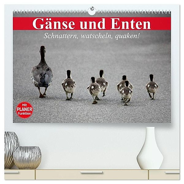 Gänse und Enten. Schnattern, watscheln, quaken! (hochwertiger Premium Wandkalender 2024 DIN A2 quer), Kunstdruck in Hochglanz, Elisabeth Stanzer