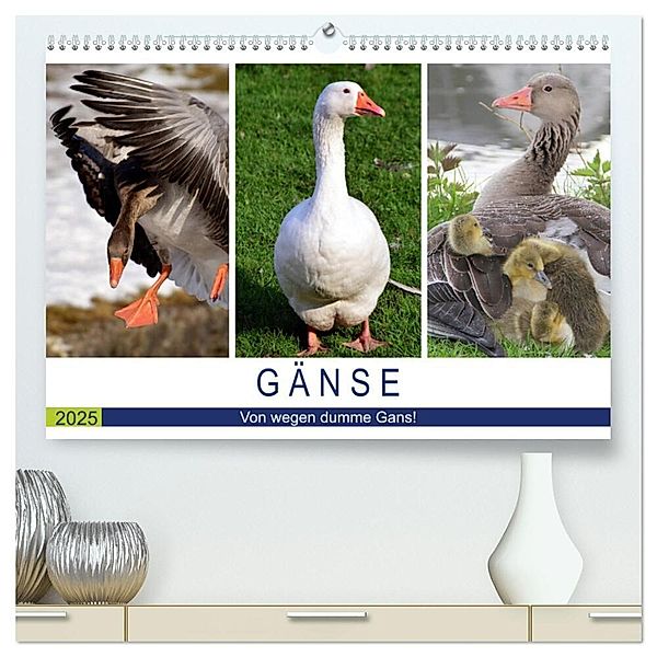 Gänse. Von wegen dumme Gans! (hochwertiger Premium Wandkalender 2025 DIN A2 quer), Kunstdruck in Hochglanz, Calvendo, Rose Hurley