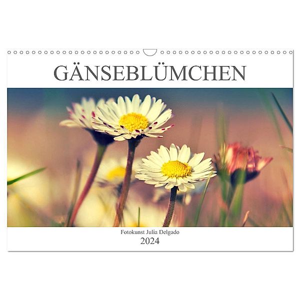 Gänseblümchen Poesie (Wandkalender 2024 DIN A3 quer), CALVENDO Monatskalender, Julia Delgado