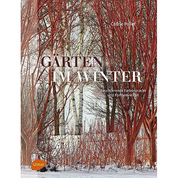 Gärten im Winter, Cédric Pollet