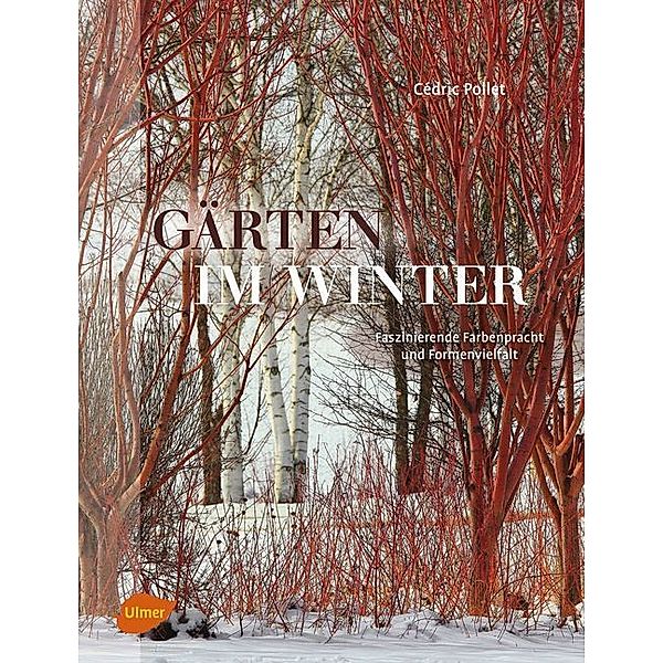 Gärten im Winter, Cédric Pollet