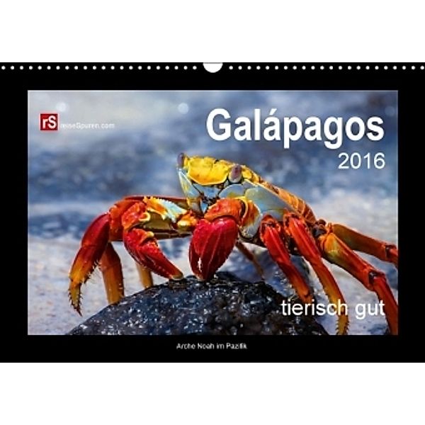 Galápagos 2016 tierisch gut - Arche Noah im Pazifik (Wandkalender 2016 DIN A3 quer), Uwe Bergwitz