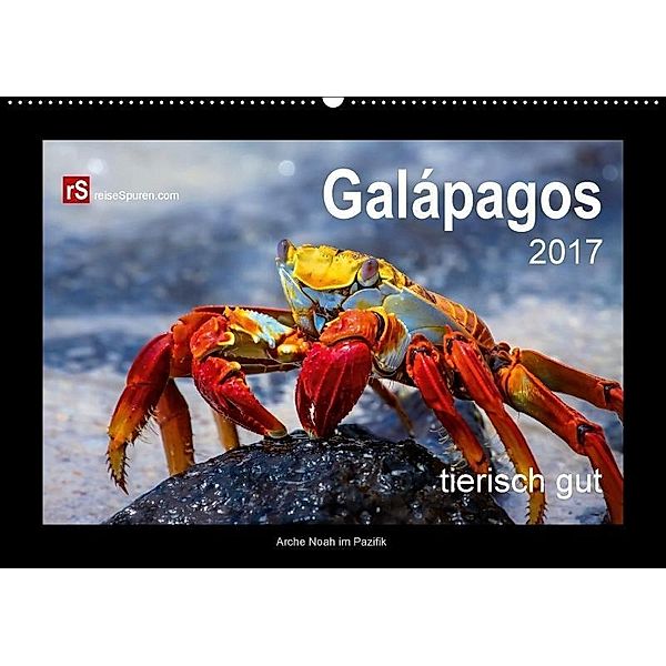 Galápagos 2017 tierisch gut - Arche Noah im Pazifik (Wandkalender 2017 DIN A2 quer), Uwe Bergwitz