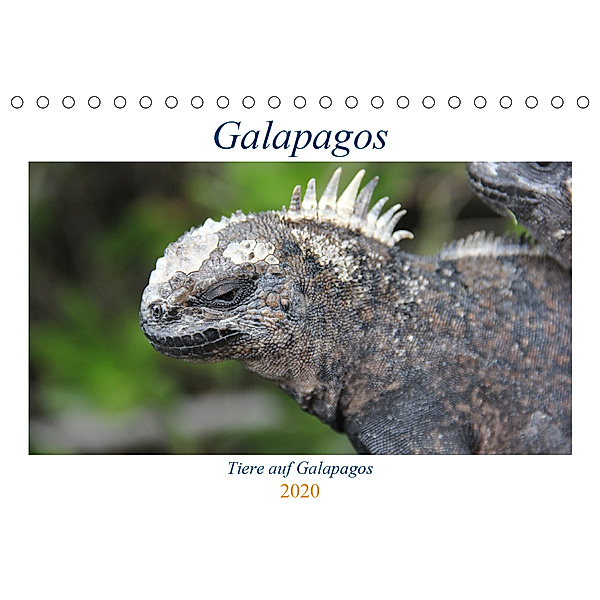 Galapagos 2020 - Tiere auf Galapagos (Tischkalender 2020 DIN A5 quer), Ralf Biebeler