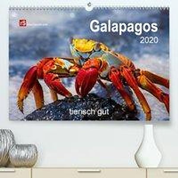 Galapagos 2020 tierisch gut (Premium-Kalender 2020 DIN A2 quer), Uwe Bergwitz