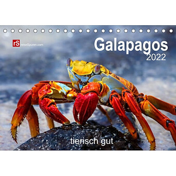 Galapagos 2022 tierisch gut (Tischkalender 2022 DIN A5 quer), Uwe Bergwitz