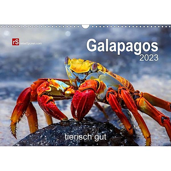 Galapagos 2022 tierisch gut (Wandkalender 2023 DIN A3 quer), Uwe Bergwitz