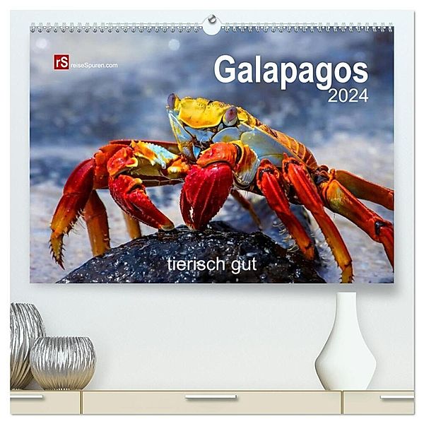 Galapagos 2024 tierisch gut (hochwertiger Premium Wandkalender 2024 DIN A2 quer), Kunstdruck in Hochglanz, Uwe Bergwitz