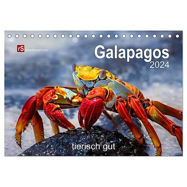 Galapagos 2024 tierisch gut (Tischkalender 2024 DIN A5 quer), CALVENDO Monatskalender, Uwe Bergwitz