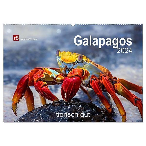 Galapagos 2024 tierisch gut (Wandkalender 2024 DIN A2 quer), CALVENDO Monatskalender, Uwe Bergwitz