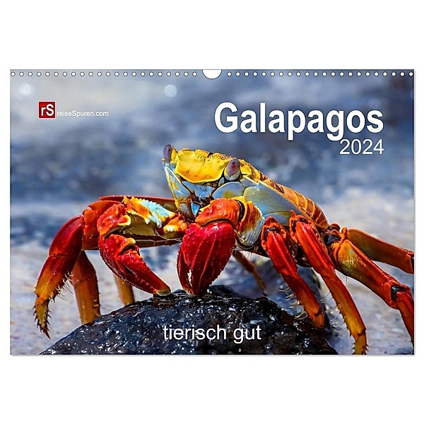 Galapagos 2024 tierisch gut (Wandkalender 2024 DIN A3 quer), CALVENDO Monatskalender, Uwe Bergwitz