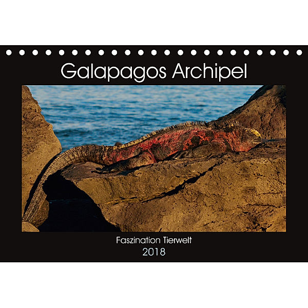 Galapagos Archipel- Faszination Tierwelt (Tischkalender 2018 DIN A5 quer) Dieser erfolgreiche Kalender wurde dieses Jahr, Photo4emotion.com