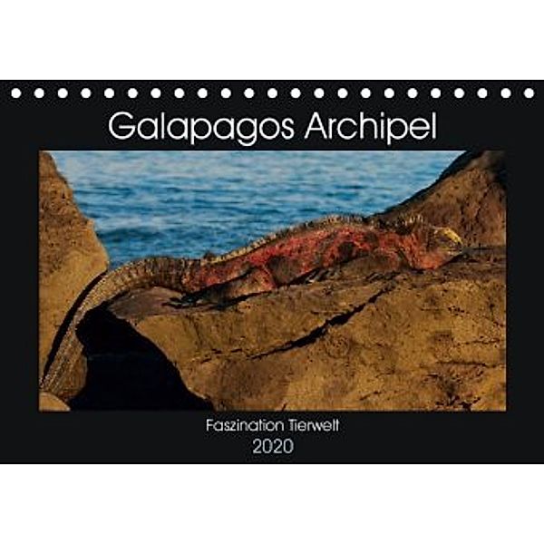 Galapagos Archipel- Faszination Tierwelt (Tischkalender 2020 DIN A5 quer)