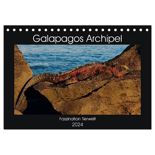 Galapagos Archipel- Faszination Tierwelt (Tischkalender 2024 DIN A5 quer), CALVENDO Monatskalender, Photo4emotion.com