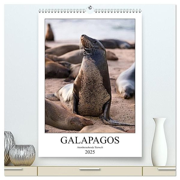 Galapagos - Atemberaubende Tierwelt (hochwertiger Premium Wandkalender 2025 DIN A2 hoch), Kunstdruck in Hochglanz, Calvendo, Jeanette Dobrindt