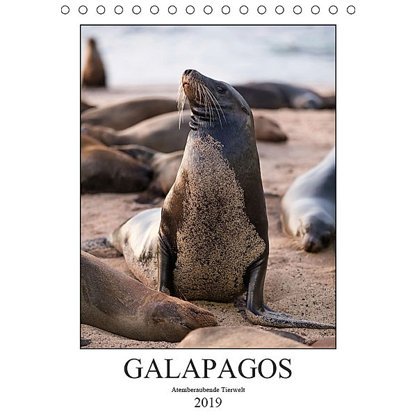 Galapagos - Atemberaubende Tierwelt (Tischkalender 2019 DIN A5 hoch), Jeanette Dobrindt