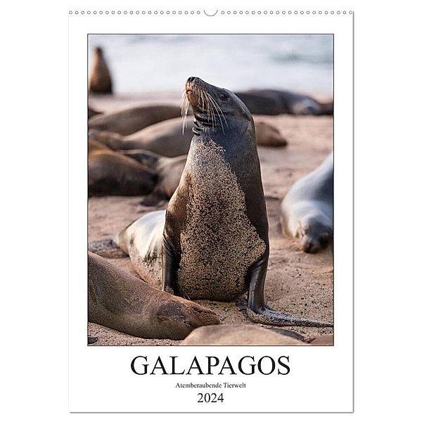Galapagos - Atemberaubende Tierwelt (Wandkalender 2024 DIN A2 hoch), CALVENDO Monatskalender, Jeanette Dobrindt
