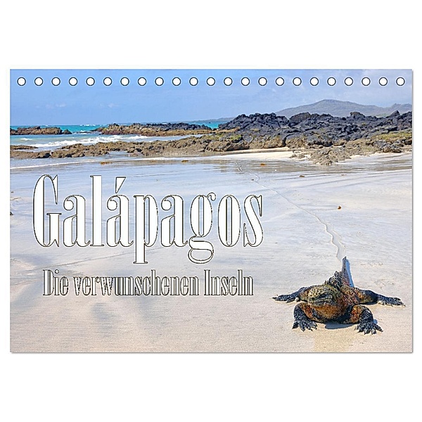 Galápagos - Die verwunschenen Inseln (Tischkalender 2024 DIN A5 quer), CALVENDO Monatskalender, Stefan Schütter