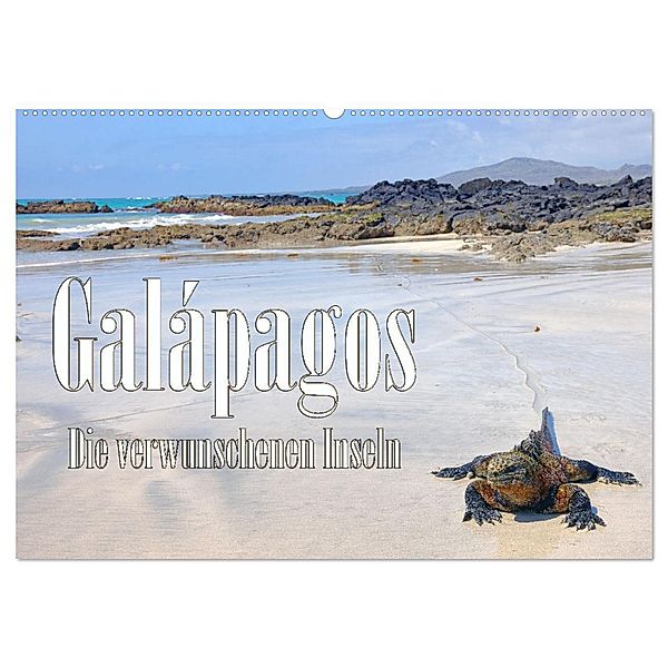 Galápagos - Die verwunschenen Inseln (Wandkalender 2025 DIN A2 quer), CALVENDO Monatskalender, Calvendo, Stefan Schütter