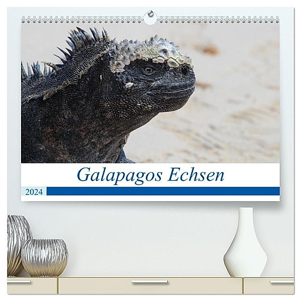 Galapagos Echsen (hochwertiger Premium Wandkalender 2024 DIN A2 quer), Kunstdruck in Hochglanz, Johannes Reeh