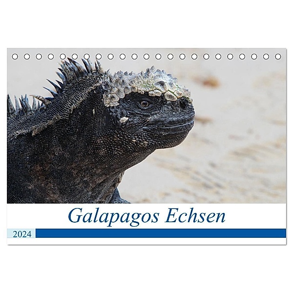 Galapagos Echsen (Tischkalender 2024 DIN A5 quer), CALVENDO Monatskalender, Johannes Reeh