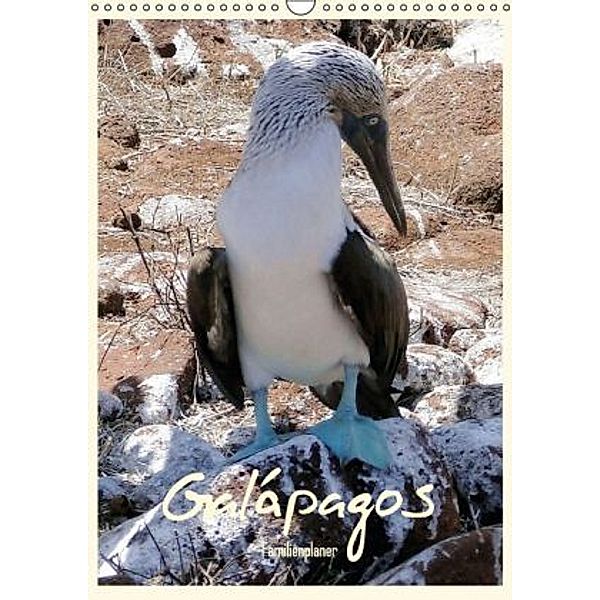 Galápagos Familienplaner (Wandkalender 2015 DIN A3 hoch), Rudolf Blank