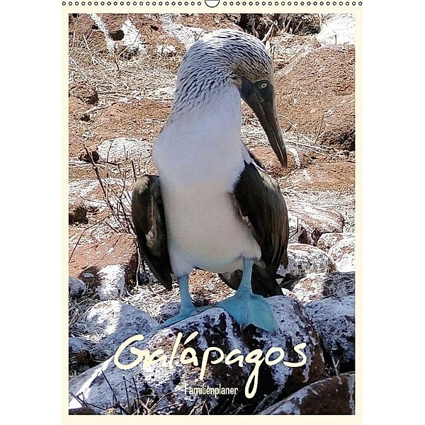 Galápagos Familienplaner (Wandkalender 2017 DIN A2 hoch), Rudolf Blank