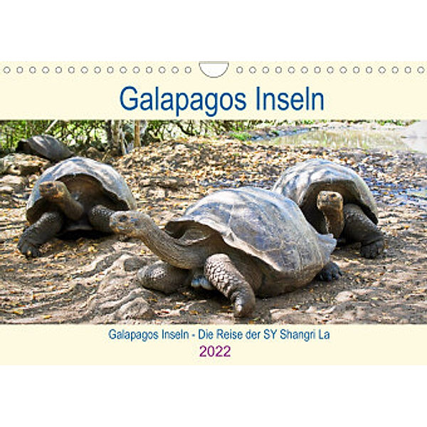 Galapagos Inseln - Die Reise der SY Shangri La (Wandkalender 2022 DIN A4 quer), Christine Friedrich
