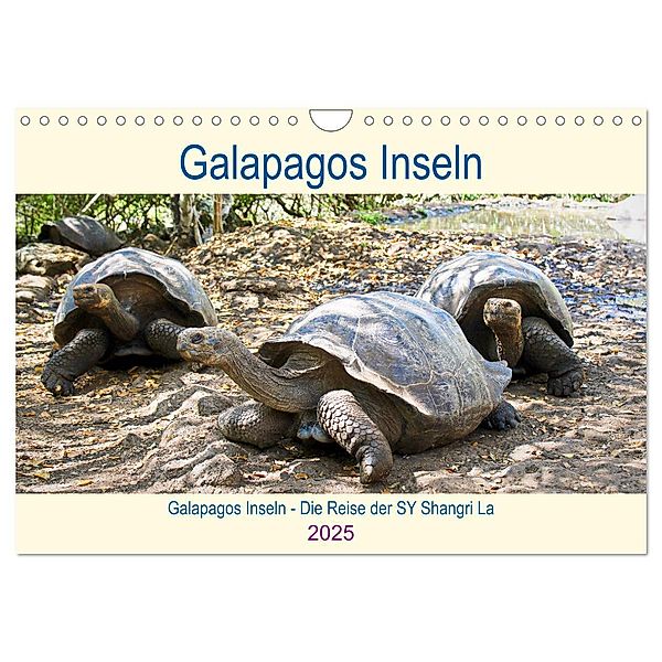 Galapagos Inseln - Die Reise der SY Shangri La (Wandkalender 2025 DIN A4 quer), CALVENDO Monatskalender, Calvendo, Christine Friedrich