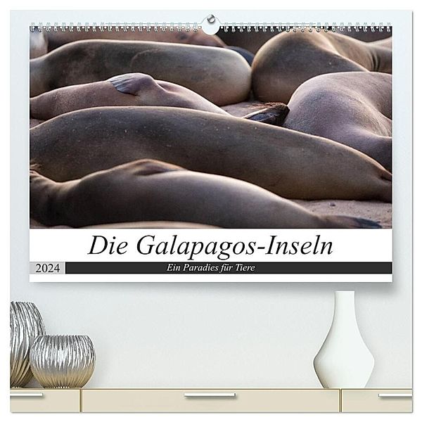 Galapagos-Inseln - Ein Paradies für Tiere (hochwertiger Premium Wandkalender 2024 DIN A2 quer), Kunstdruck in Hochglanz, Jeanette Dobrindt