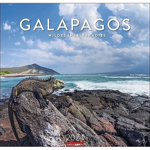 Galapagos Kalender 2024. Atemberaubende Fotos der Galapagosinseln und ihrer Wildtiere in einem Wandkalender 2024 Großformat. 48 x 46 cm