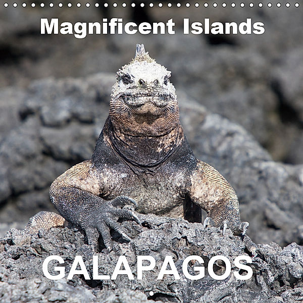 Galapagos magnificent islands (Wall Calendar 2019 300 × 300 mm Square), Sabine Reuke