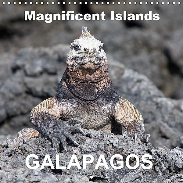 Galapagos magnificent islands (Wall Calendar 2021 300 × 300 mm Square), Sabine Reuke